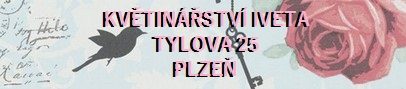 Kvtinstv Iveta Plze